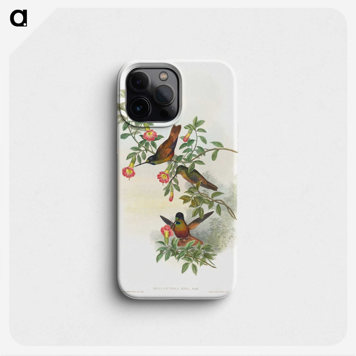 1-23_John-Gould_phone