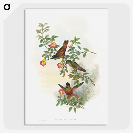 1-23_John-Gould_picture-crop
