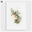 1-23_John-Gould_picture