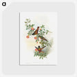 1-23_John-Gould_postcard