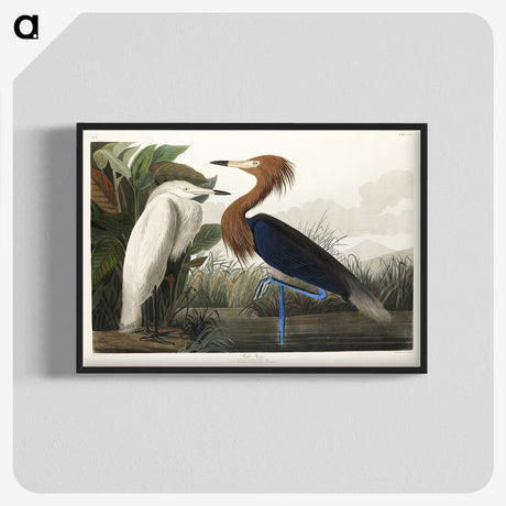 1-23_John-James-Audubon_blk-crop
