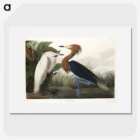 1-23_John-James-Audubon_picture