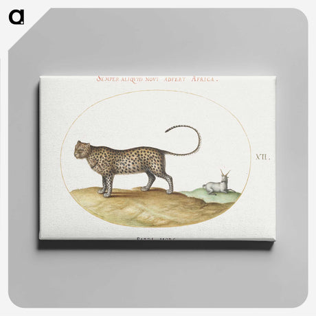 1-23_Joris-Hoefnagel_canvas