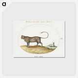 1-23_Joris-Hoefnagel_postcard