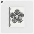 1-23_Karl-Blossfeldt_memo