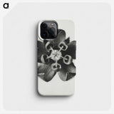 1-23_Karl-Blossfeldt_phone