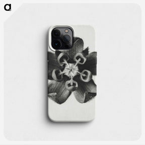 1-23_Karl-Blossfeldt_phone