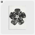 1-23_Karl-Blossfeldt_postcard
