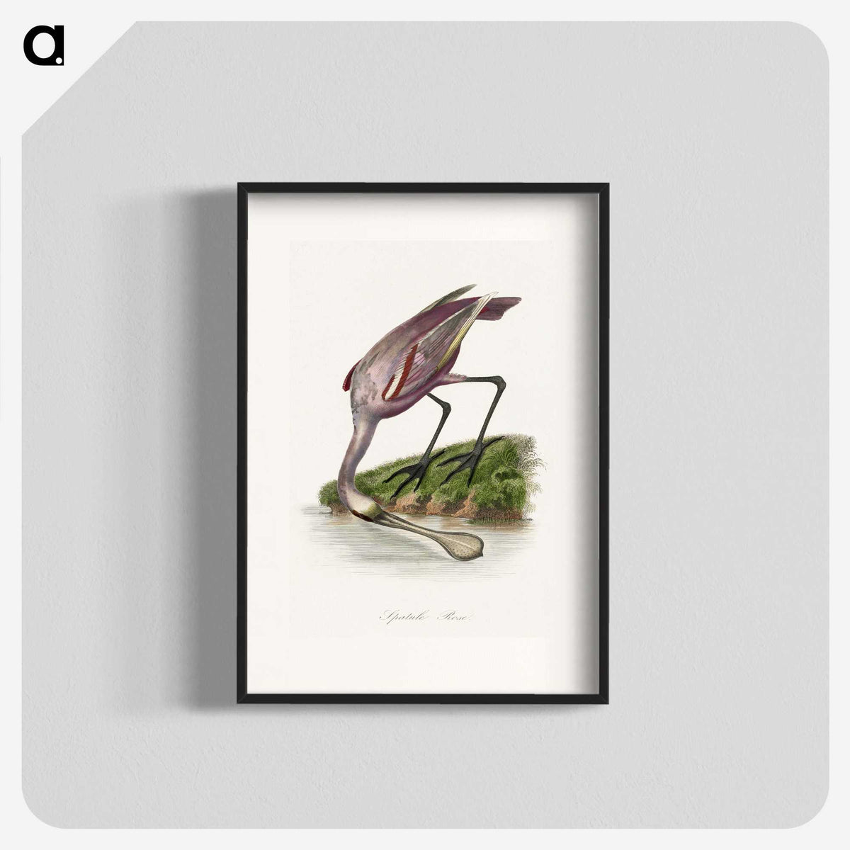 1-23_Le-Jardin-des-Plantes_blk