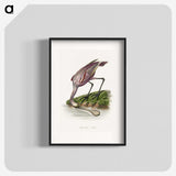 1-23_Le-Jardin-des-Plantes_blk