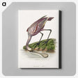 1-23_Le-Jardin-des-Plantes_canvas