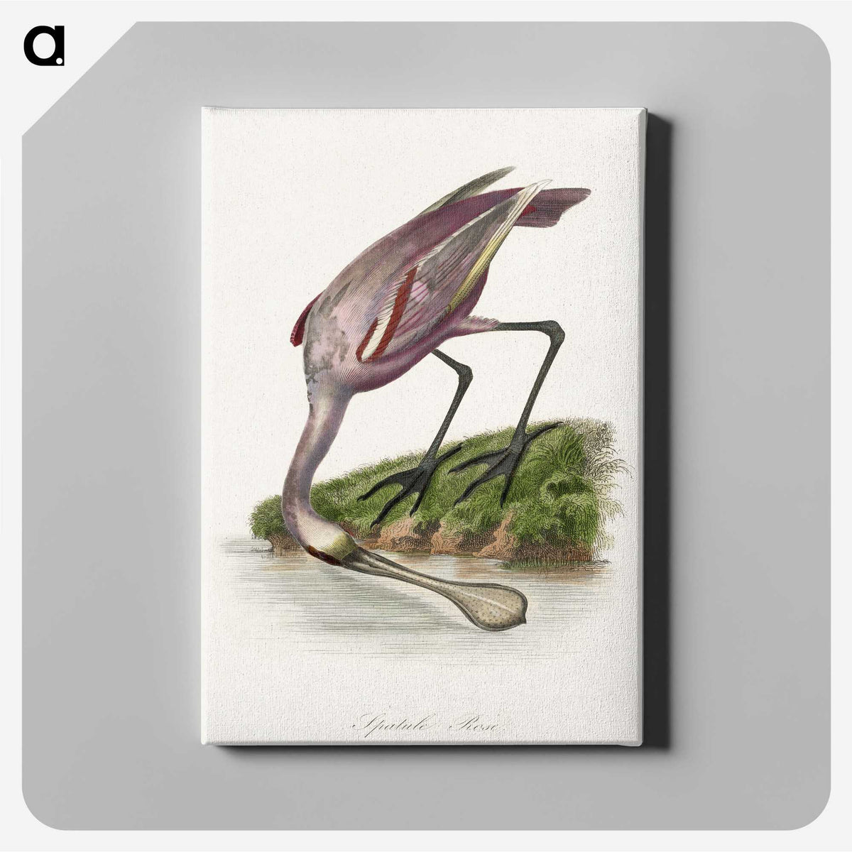 1-23_Le-Jardin-des-Plantes_canvas