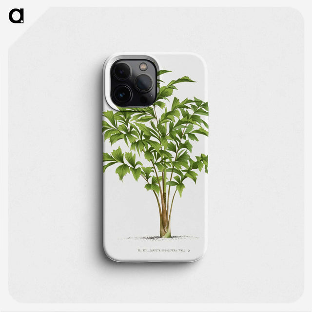 1-23_Les-Palmiers-Histoire-Iconographique_phone