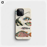 Moluccan Fishes
 - ルイ ルナール Phone Case.