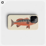 Unidentified Fish
 - ルイージ バルガーニ Phone Case.