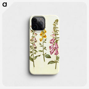 1-23_Maria-Sibylla-Merian_phone