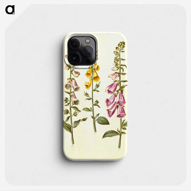 1-23_Maria-Sibylla-Merian_phone