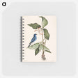アートメモ帳-Blue Linnet
 - マーク ケイツビー Memo.