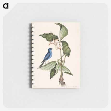 アートメモ帳-Blue Linnet
 - マーク ケイツビー Memo.