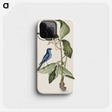 1-23_Mark-Catesby_phone