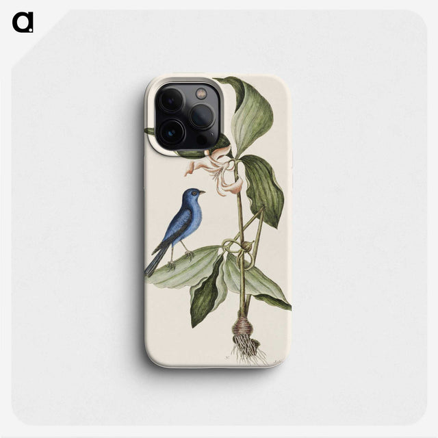 1-23_Mark-Catesby_phone