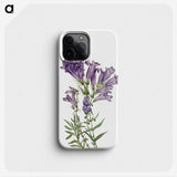1-23_Mary-Vaux-Walcott_phone
