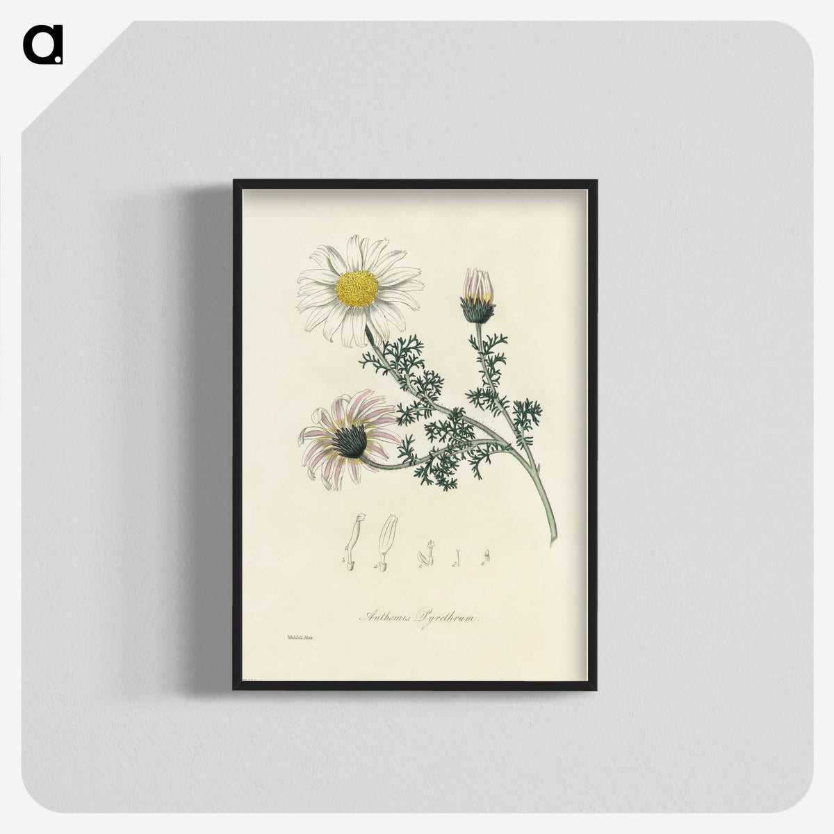 1-23_Medical-Botany_blk-crop
