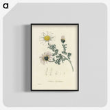 1-23_Medical-Botany_blk-crop