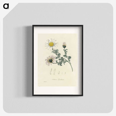 1-23_Medical-Botany_blk
