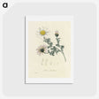 1-23_Medical-Botany_hagaki