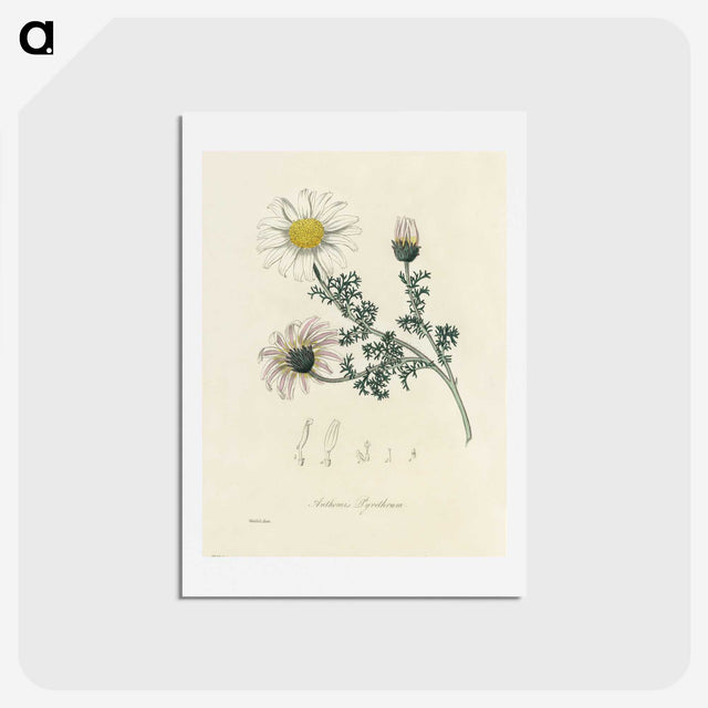 1-23_Medical-Botany_hagaki