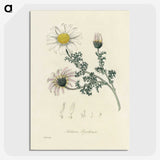 1-23_Medical-Botany_picture-crop