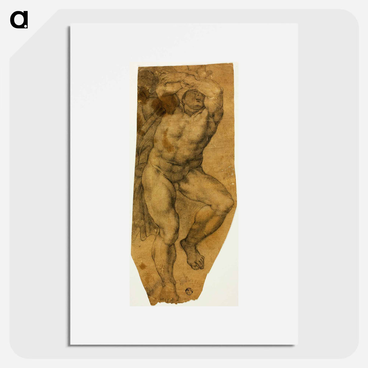 Ascending Male Nude - ミケランジェロ ブオナローティ Poster.
