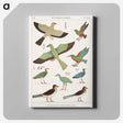 1-23_Monuments-of-Egypt-and-Nubia_canvas