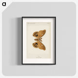 1-23_Moths-and-Butterflies-of-the-United-States_blk
