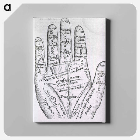 アートパネル-Chiromantic Hand
 - 国立医学図書館 Canvas.