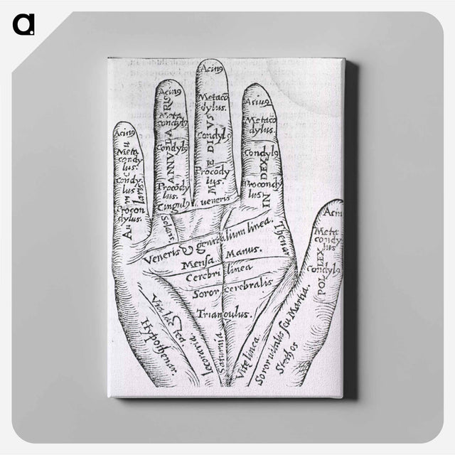 アートパネル-Chiromantic Hand
 - 国立医学図書館 Canvas.