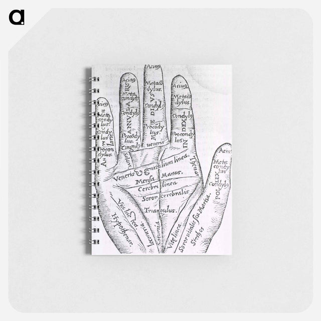 アートメモ帳-Chiromantic Hand
 - 国立医学図書館 Memo.