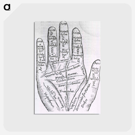 アートポストカード-Chiromantic Hand
 - 国立医学図書館 Postcard.
