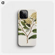 1-23_Native-Flowering-Plants-of-New-Zealand_phone
