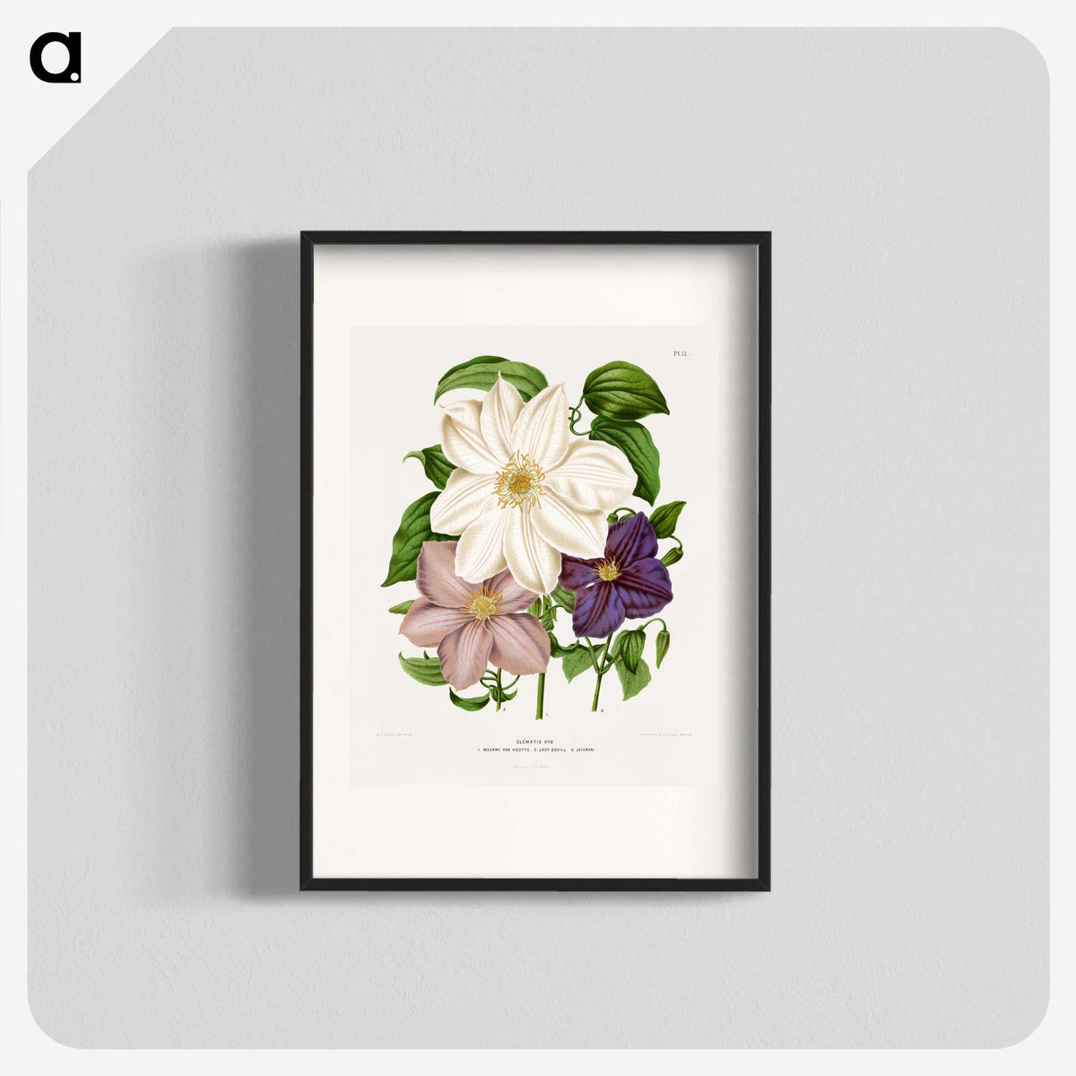 1-23_Nederlandsche-Flora-en-Pomona_blk