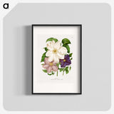 1-23_Nederlandsche-Flora-en-Pomona_blk