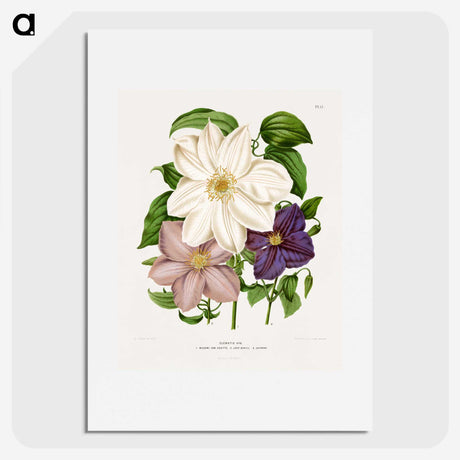 1-23_Nederlandsche-Flora-en-Pomona_picture