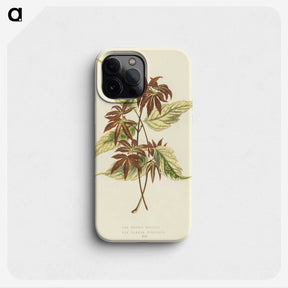 1-23_New-and-Rare-Beautiful-Leaved-Plants_phone