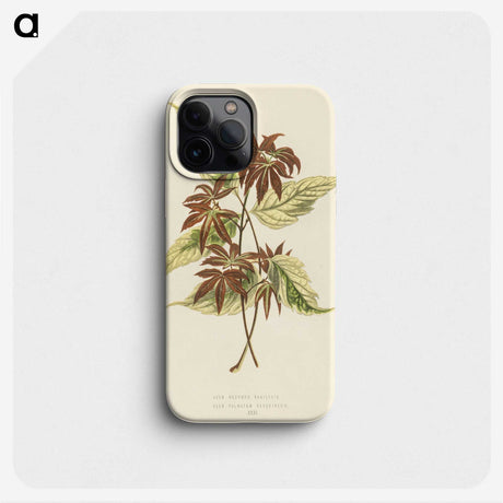 1-23_New-and-Rare-Beautiful-Leaved-Plants_phone