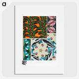 1-23_Papillons_picture