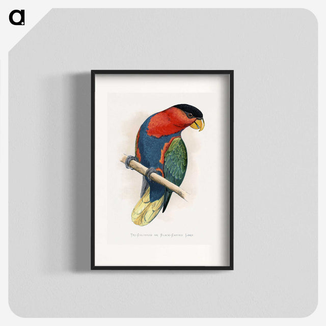 1-23_Parrots-in-Captivity_blk