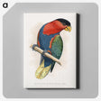 1-23_Parrots-in-Captivity_canvas