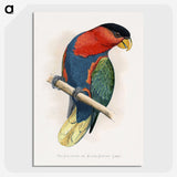 1-23_Parrots-in-Captivity_picture-crop
