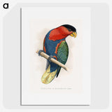 1-23_Parrots-in-Captivity_picture
